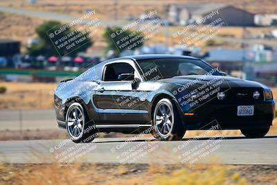 media/Nov-16-2024-Extreme Speed (Sat) [[6587d07cc4]]/Gold Group/Session 1 (Turn 2)/